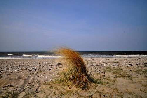 Strand direkt vor der Tür