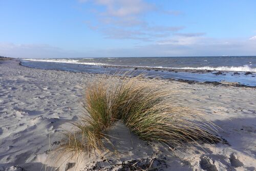 Strand vor der Tür