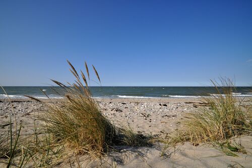 Strand vor der Terasse