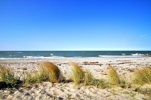 Der Strand direkt vor der Tür